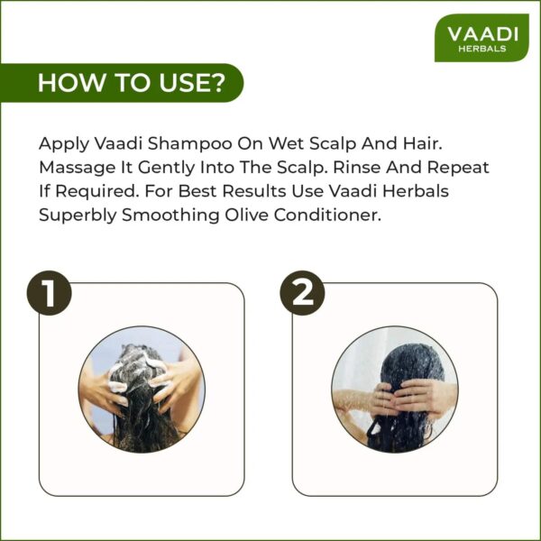 Vaadi Herbals Hairfall & Damage Control Amla-Shikakai Shampoo (110ml) - Vaadi Herbals