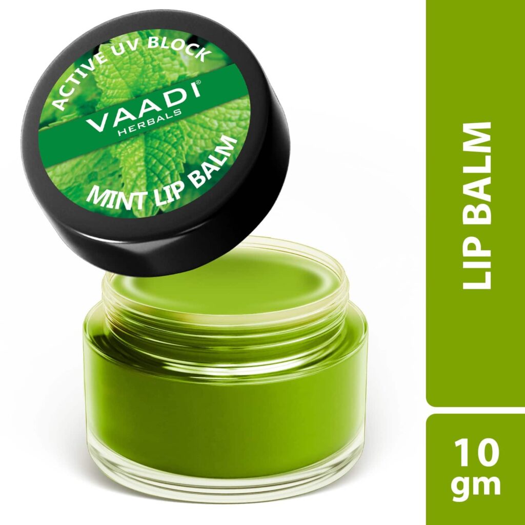 Vaadi Herbals Mint Lip Balm (10g) - Vaadi Herbals
