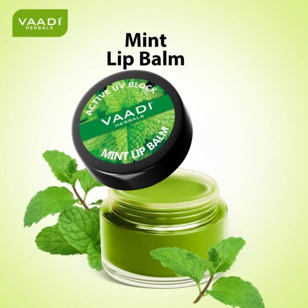 Vaadi Herbals Mint Lip Balm (10g) - Vaadi Herbals