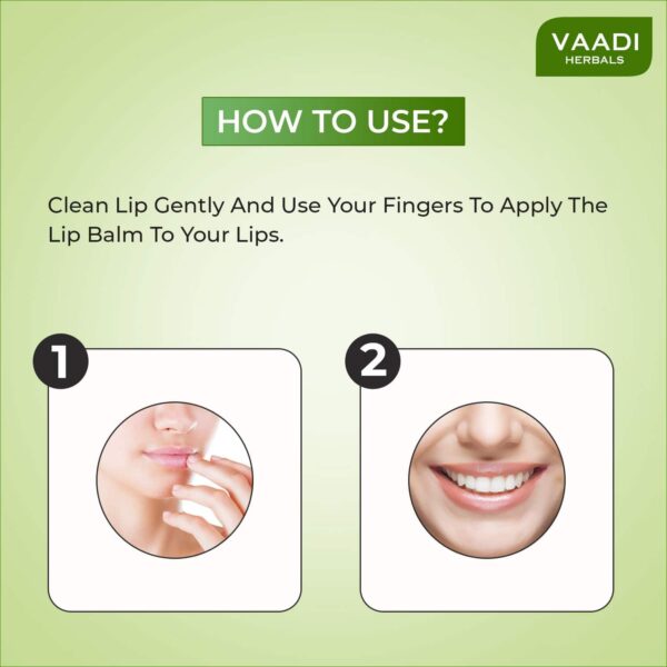 Vaadi Herbals Mint Lip Balm (10g) - Vaadi Herbals