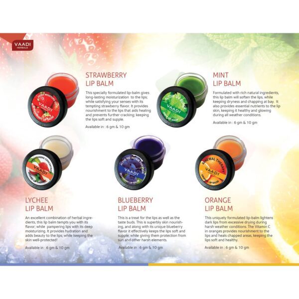 Vaadi Herbals Orange Lip Balm (10g) - Vaadi Herbals