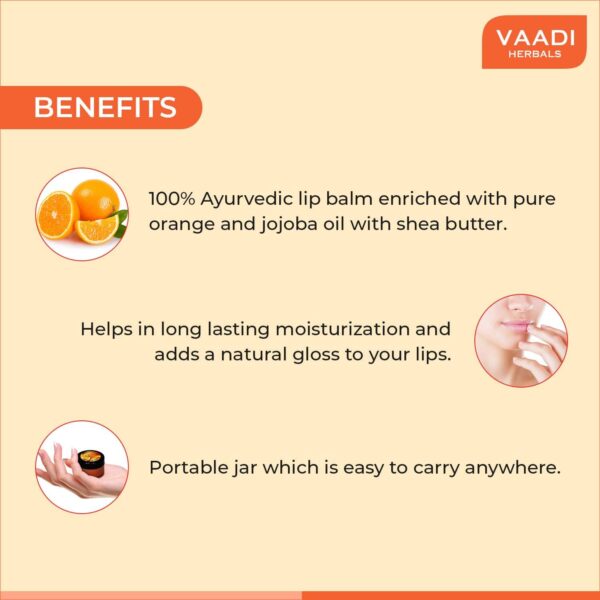 Vaadi Herbals Orange Lip Balm (10g) - Vaadi Herbals