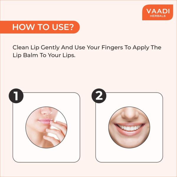 Vaadi Herbals Orange Lip Balm (10g) - Vaadi Herbals