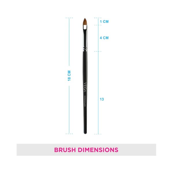 Vega Concealer Brush (PB-03) (5 g) - Vega