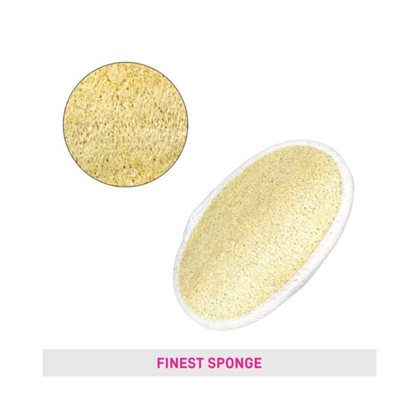 Vega Loofah Pad for Remove Dead Cells Skin Smooth Tan Removal for Face and Body (NBA 3/5) (20 g) - Vega