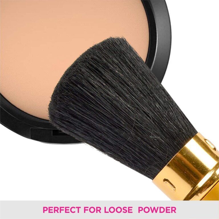 Vega Powder Brush RT, (EV-20RT) - Vega