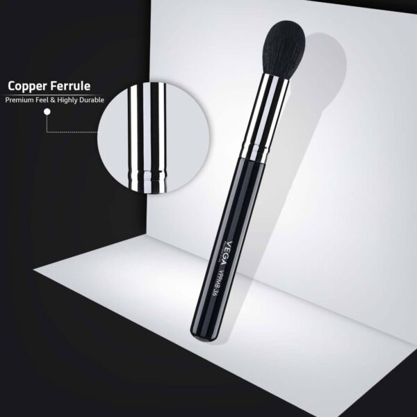 VEGA Professional Makeup Brush Set - VPPMB-42 (8 pcs) - VEGA Professional