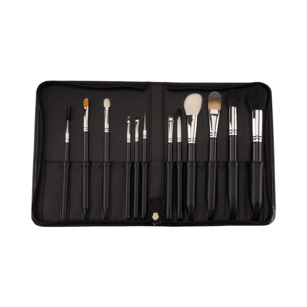 VEGA Professional Makeup Brush Set - VPPMB-43 (12 pcs) - VEGA Professional