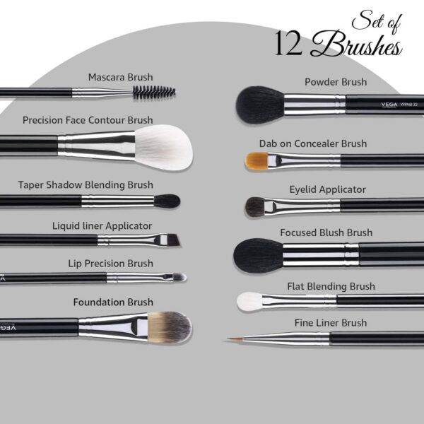 VEGA Professional Makeup Brush Set - VPPMB-43 (12 pcs) - VEGA Professional
