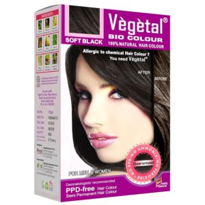 Vegetal Bio Hair Colour Soft Black | 150g | Achieve Natural, Ammonia-Free Hair Color | PPD-Free, 100% Herbal Certified Organic for Men and Women | UV Protection and Luster...