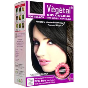 Vegetal Bio Hair Colour - Soft Black | 50g | Achieve Natural, Ammonia-Free Hair Color | PPD-Free, 100% Herbal Certified Organic for Men and Women | UV Protection and Luster...