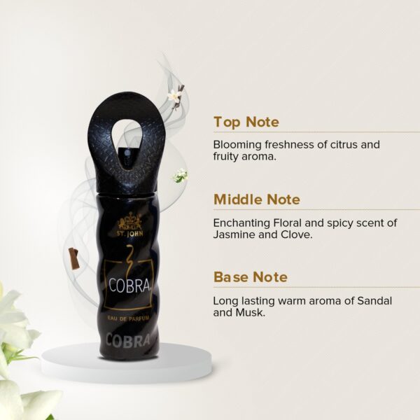 VI-JOHN Shaving Foam & Cobra EDP Set (Pack of 2) - VI-JOHN