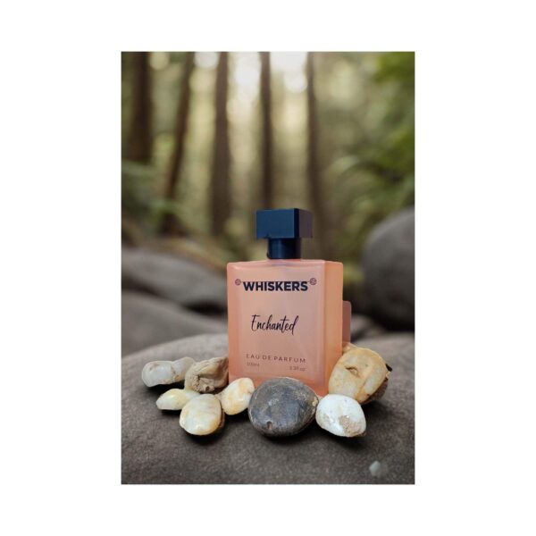 WHISKERS Enchanted Eau De Parfum For Men (100 ml) - WHISKERS