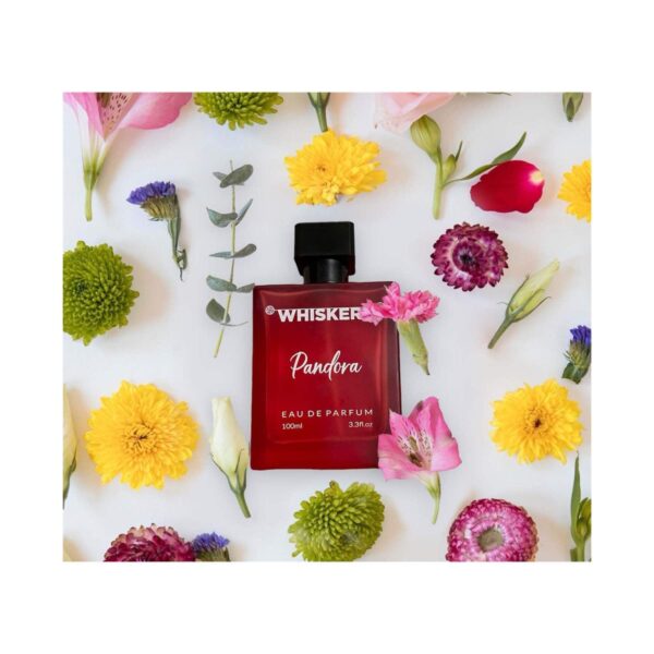 WHISKERS Pandora Eau De Parfum For Men (100 ml) - WHISKERS