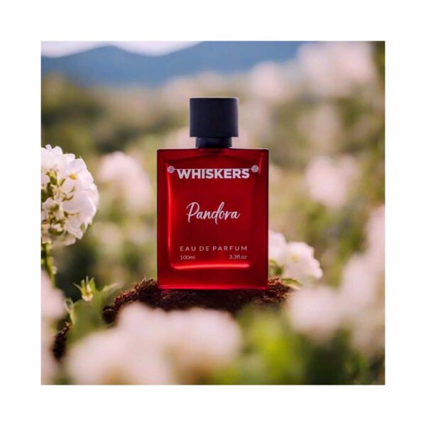 WHISKERS Pandora Eau De Parfum For Men (100 ml) - WHISKERS