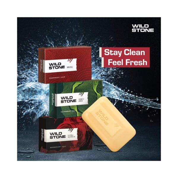 Wild Stone Soap Combo (6Pcs) - Wild Stone