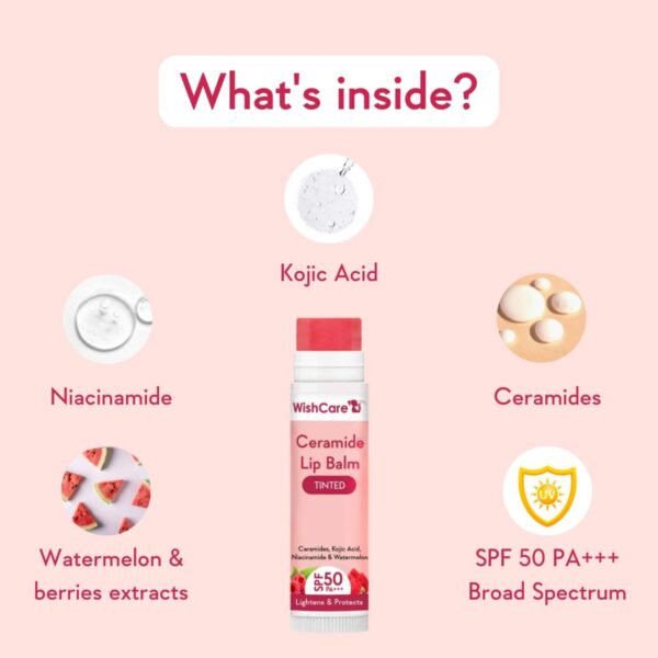 WishCare Sunscreen SPF 50 for Face, Body & Lips- With No White Cast - WishCare