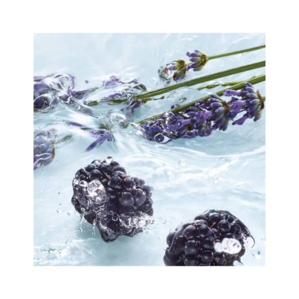 Yves Rocher Concentrated Shower Gel - Lavender Blackberry (100ml) - Yves Rocher