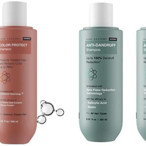 Bare Anatomy Hair Colour Protect Shampoo, Dry & Frizzy Coloured Hair For Unisex, 250ml Anti Dandruff Shampoo All Hair Types | Women & Men | 250ml (Pack of 2)